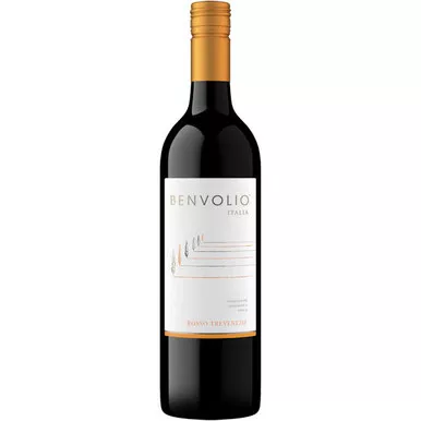 12 Bottle Case Benvolio Rosso Trevenezie IGT 2021 w/ Shipping Included